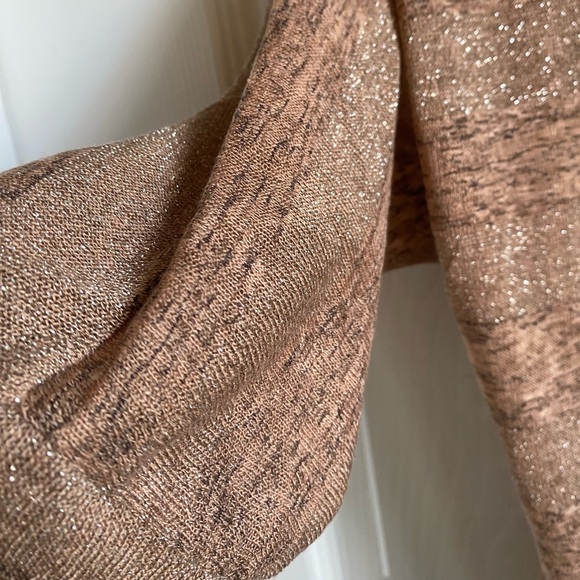 NWT Women’s Forever 21 sheer glittery V Neck top in Bronze size M - Picture 9 of 9